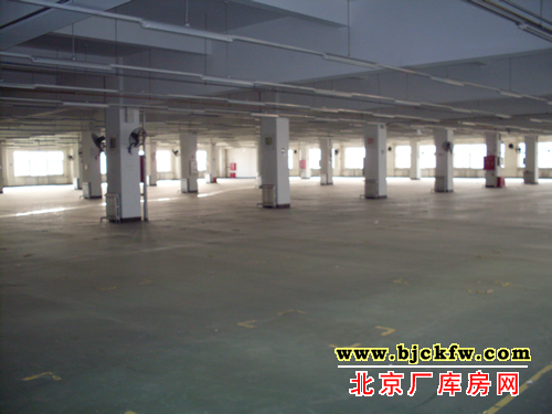 ���廷���ⷿ����