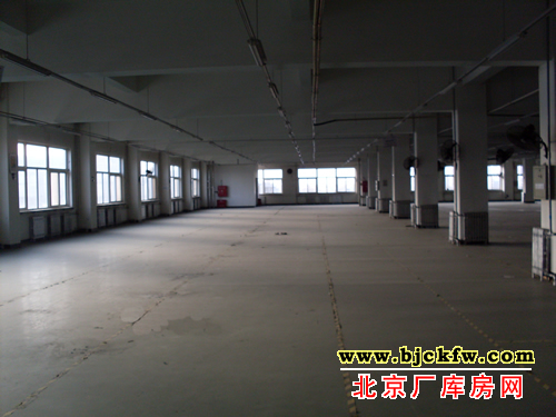 ���廷���ⷿ����