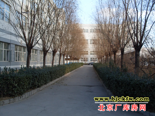 ���廷���ⷿ����