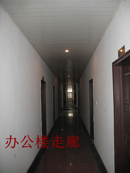 ���˳���Ӫ���ⷿ�칫¥����