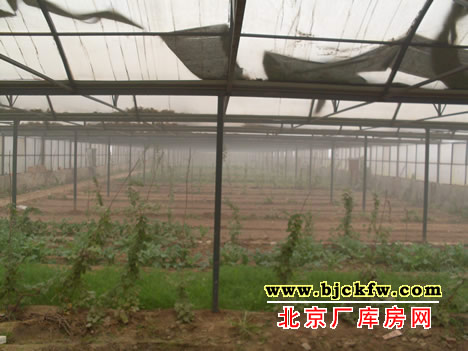 大兴厂库房出租 5