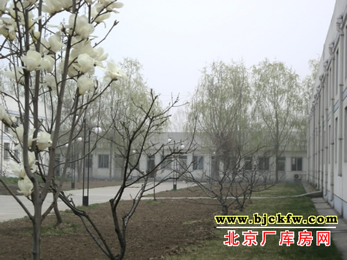 通州区潞城新城工业区标准厂房出租 2