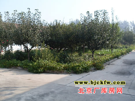 通州区甘堂东刘庄厂库房出租 4