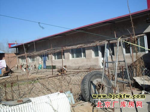 顺义俸伯独院厂库房出租 3