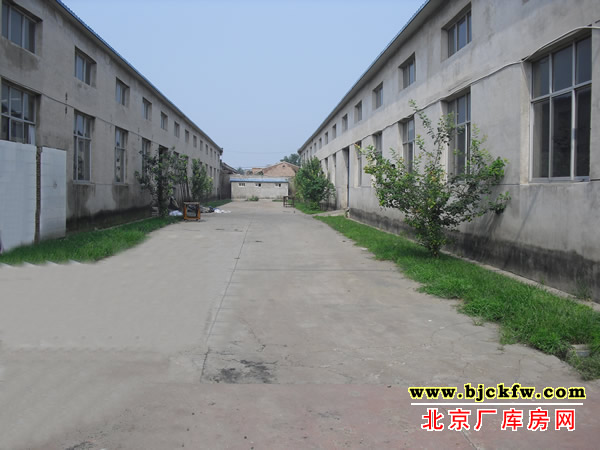 大兴桂村工业园厂库房出租 2