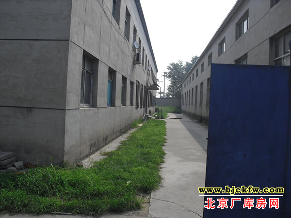 大兴桂村工业园厂库房出租 4