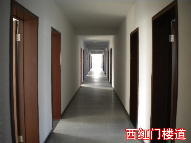 大兴厂库房、大棚出租 6