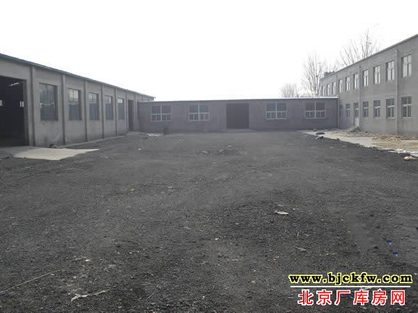 大兴青云店厂库房出租 5