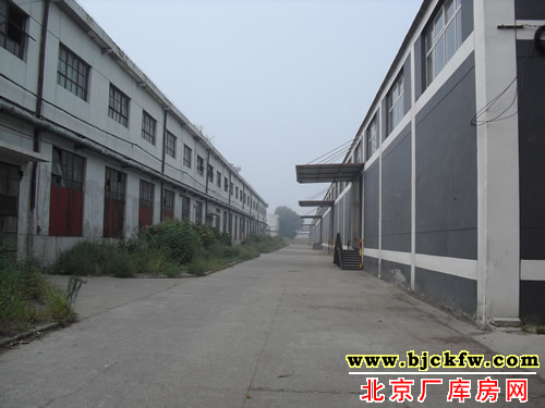 京南物流园内1万平米厂库房招商 5