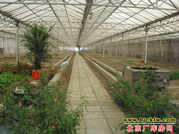 大兴区土地独院租售 4