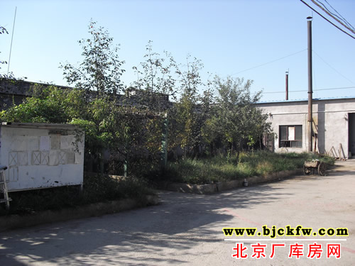 大兴青云店厂库房出租 4