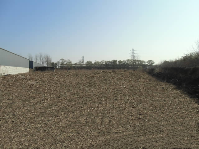 朝阳区黑庄户场地出租 1