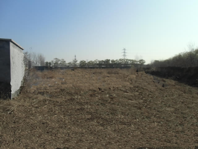 朝阳区黑庄户场地出租 2