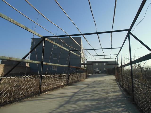 顺义厂库房出租及果树认养 6