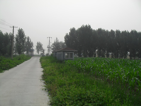 通州永乐店国有土地租转 5