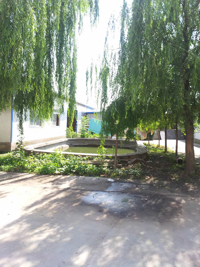 京东燕郊厂库房出租 6