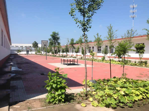 大兴榆垡厂房出租 4