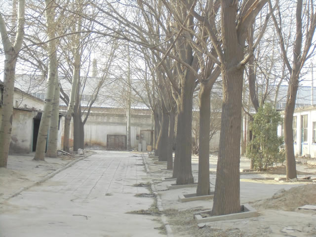 涿州市南二环北侧大院出租 4