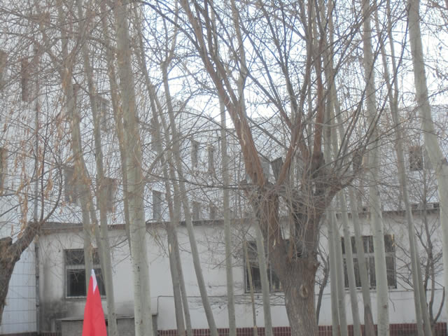 涿州市南二环北侧大院出租 6