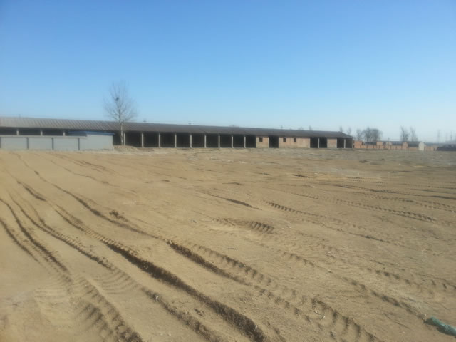 大兴物流用地出租 定制厂房 5