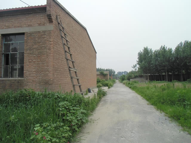 通州区潞城大院出租 4