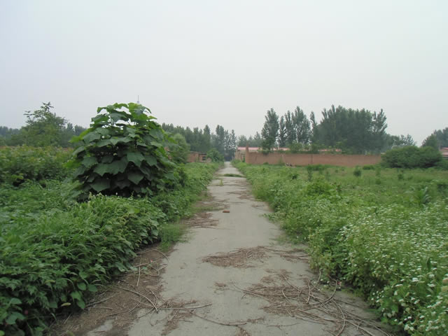 通州区潞城大院出租 1