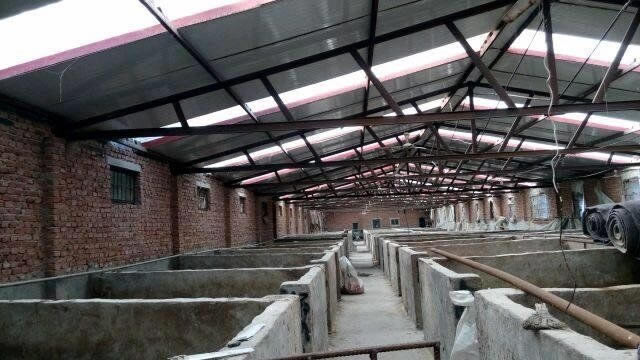 �е���˫�����ⷿ�������