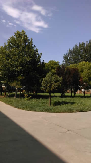 大兴长子营工业区国有土地出售 4