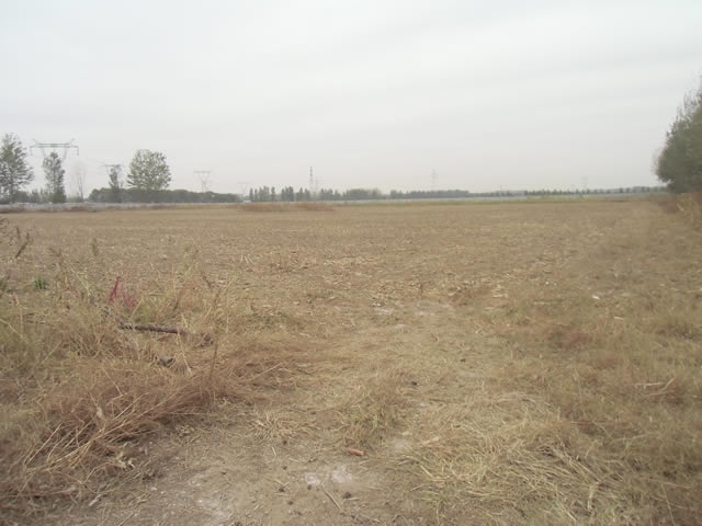 通州于家务土地、厂库房出租 1