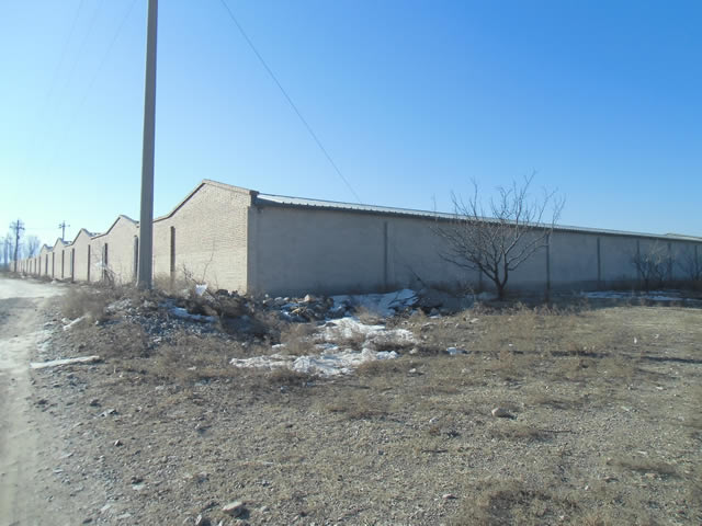 �˴��볤������10�����Ժ����