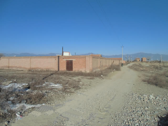 �˴��볤������10�����Ժ����