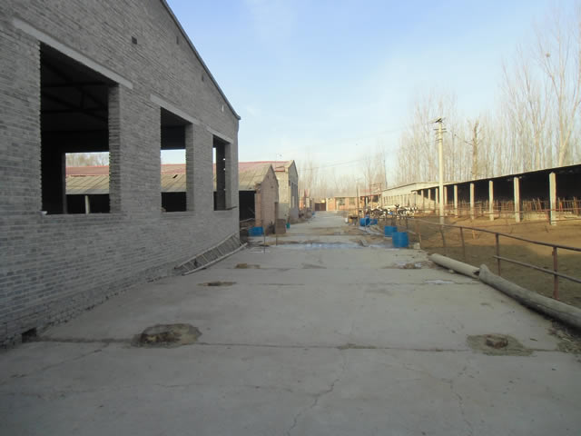 顺义区白马路边厂库房出租 1