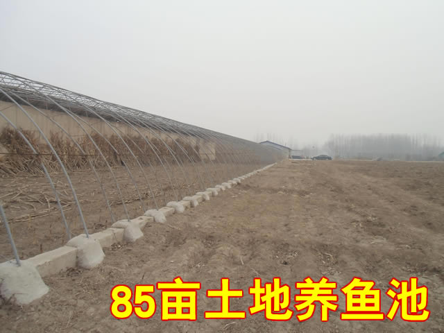 三河市皇庄镇门脸独院土地出租 三河市皇庄镇门脸独院土地出租