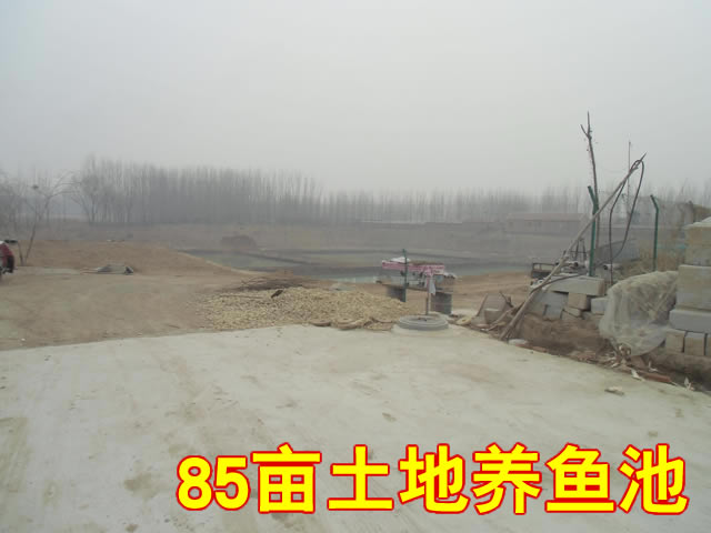 三河市皇庄镇门脸独院土地出租 三河市皇庄镇门脸独院土地出租