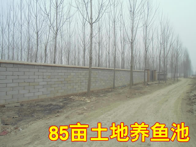 三河市皇庄镇门脸独院土地出租 三河市皇庄镇门脸独院土地出租