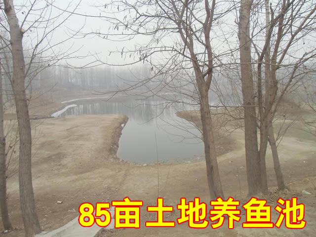 三河市皇庄镇门脸独院土地出租 三河市皇庄镇门脸独院土地出租