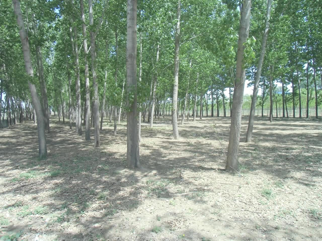 通州潞城土地出租 1