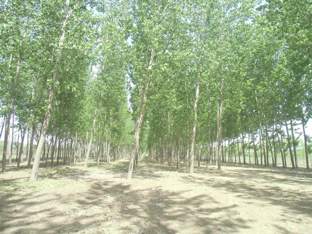 通州潞城土地出租 2