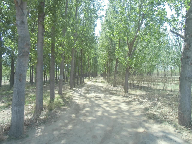 通州潞城土地出租 3
