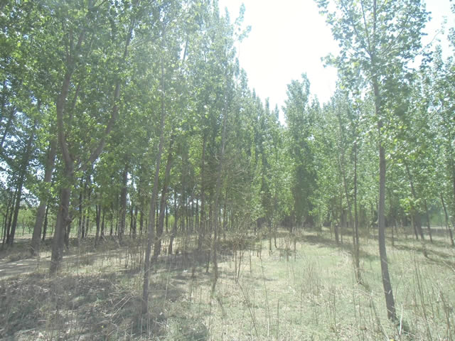 通州潞城土地出租 4