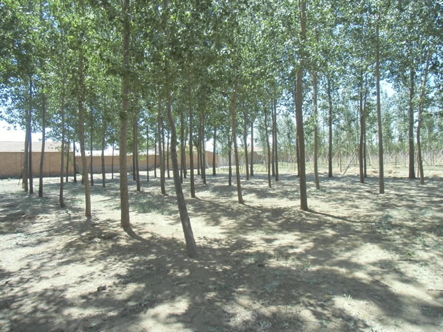 大兴区采育厂库房出租 6