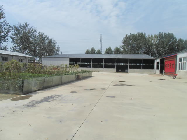 �ӱ��ȷ����ⷿ����