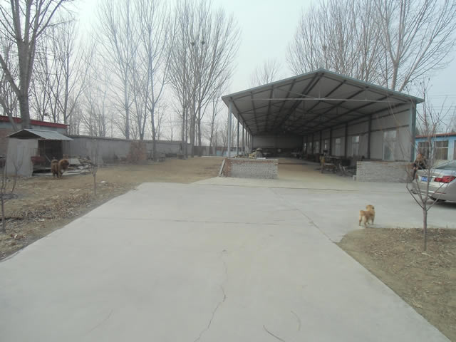 顺义牛栏山工业区独院出租 5