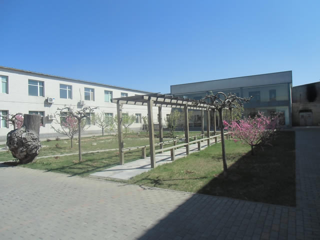 大兴南中轴路魏善庄镇办公楼厂库房出租 1