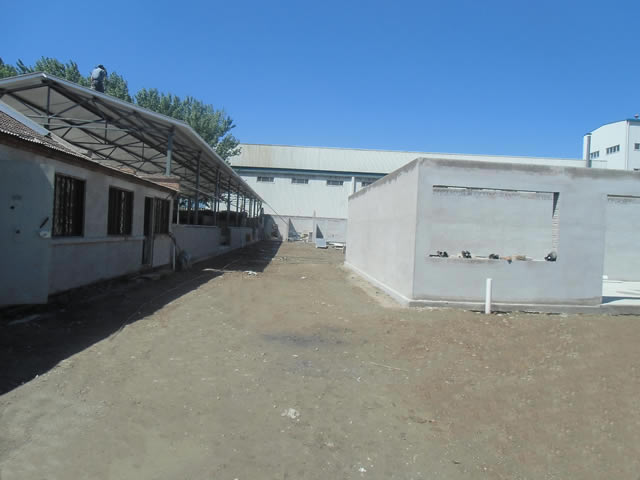 �����󳧶�Ժ���ⷿ����