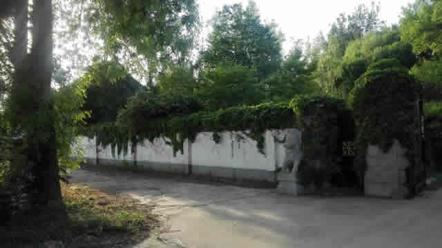 立汤路附近上风上水独立大院出租 5