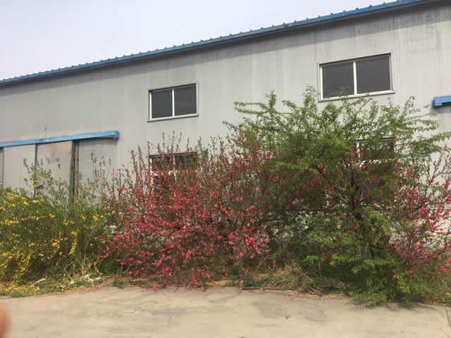 海淀上庄独院厂库房出租 3
