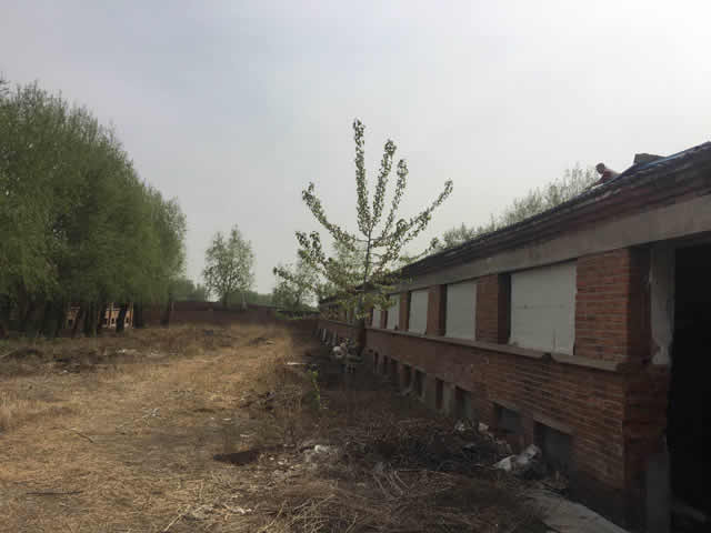 海淀上庄独院厂库房出租 4
