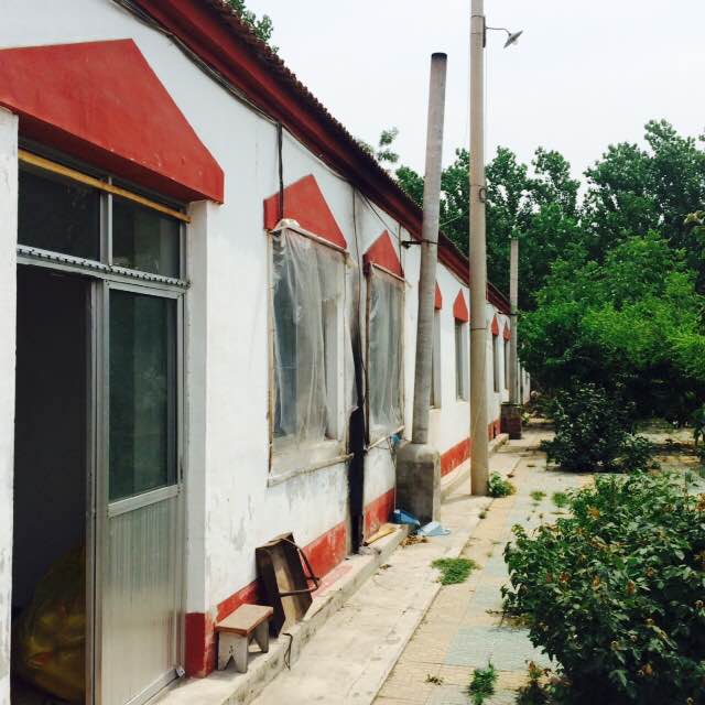 顺义白马路边独院厂库房出租 4