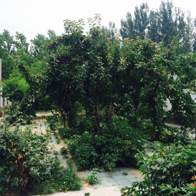 顺义白马路边独院厂库房出租 6